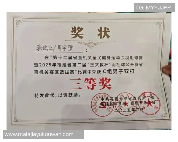 羽毛球灵活性评比揭晓北京羽毛球队荣获第六名佳绩