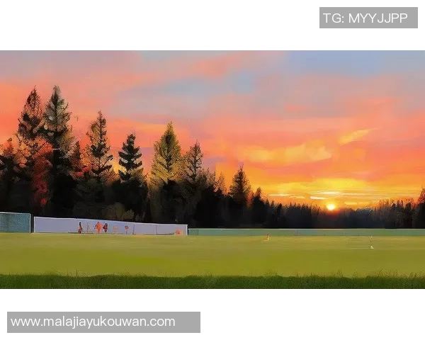 足球明星壁纸xr精选分享让你随时感受绿茵场上的激情与魅力