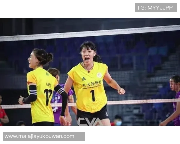 排球焦点：武汉排球队的节奏探讨