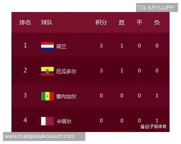 世界杯预选赛积分榜：武汉篮球队以69分领跑