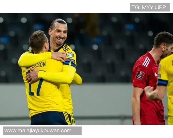 羽毛球评论：南京羽毛球队的盯防得失